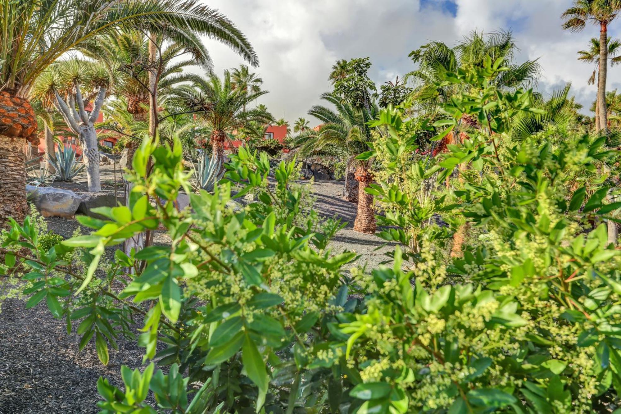 Appartement Oasis Royal *