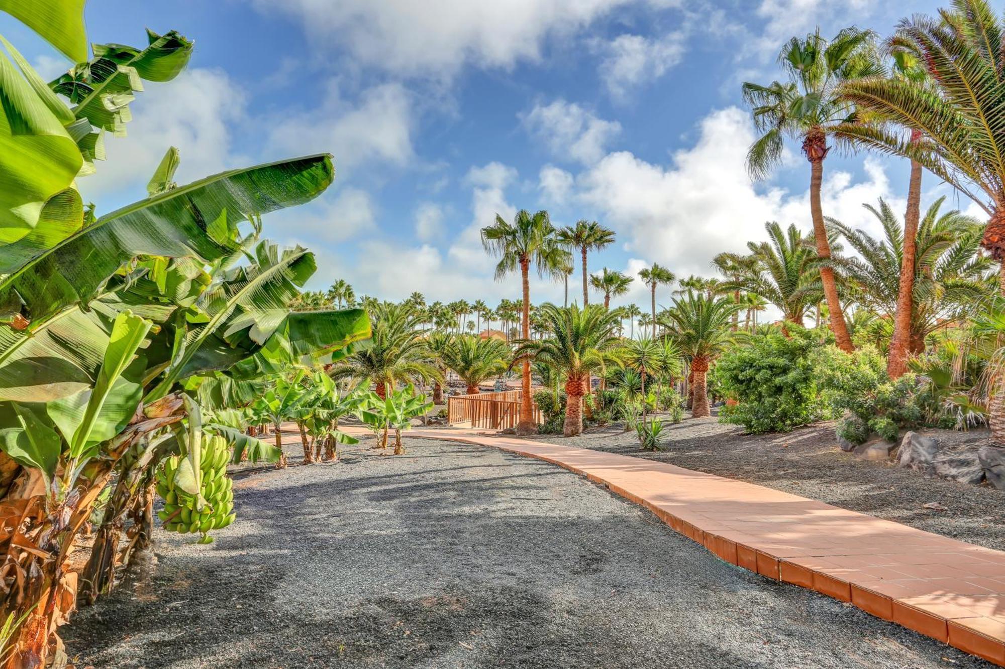 Oasis Royal Appartement Corralejo